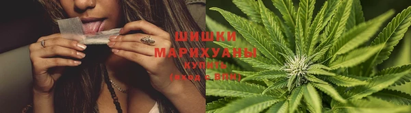 марки nbome Бородино