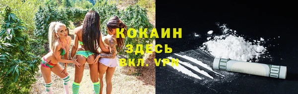 марки nbome Бородино